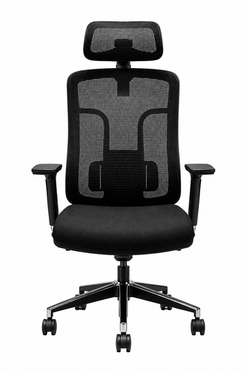 Ergonomic Mesh Office Chair with Adjustable Headrest, Lumbar Support and Padded Seat